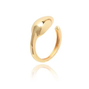 760a17e826f7c9e6fe6929b7f9ed6a1f.jpg Anel Feminino Banhado a Ouro 18k Semi Joia Design Moderno